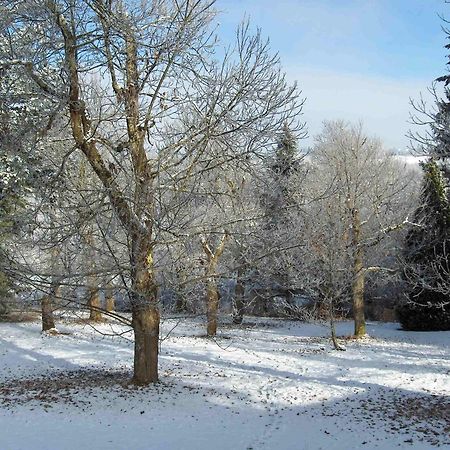 Chambres D'Hotes Le Chalet Condat-sur-Vienne Eksteriør billede