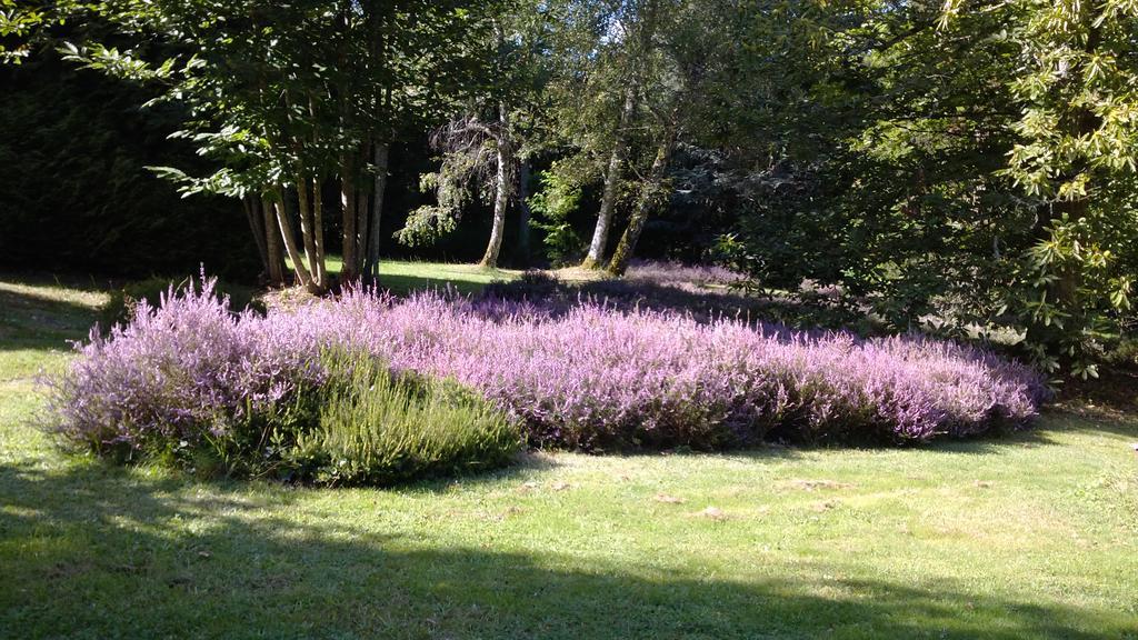 Chambres D'Hotes Le Chalet Condat-sur-Vienne Eksteriør billede
